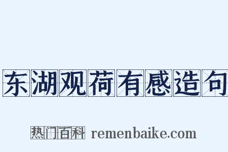 东湖观荷有感造句是什么意思的图片